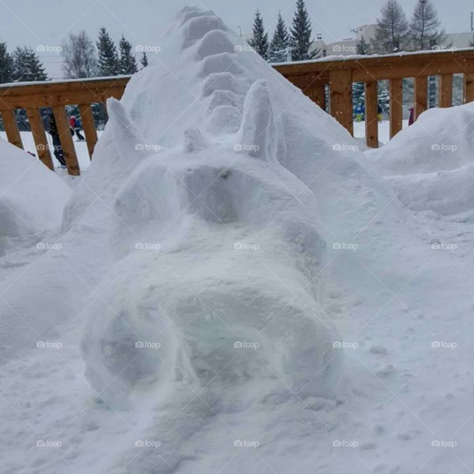 magical snow dragon