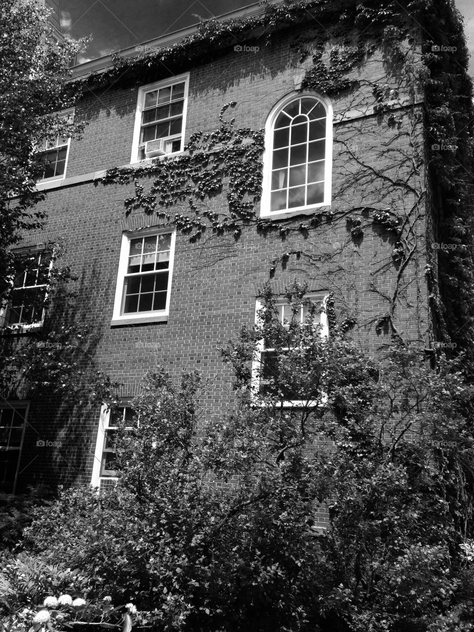 St. Thomas University