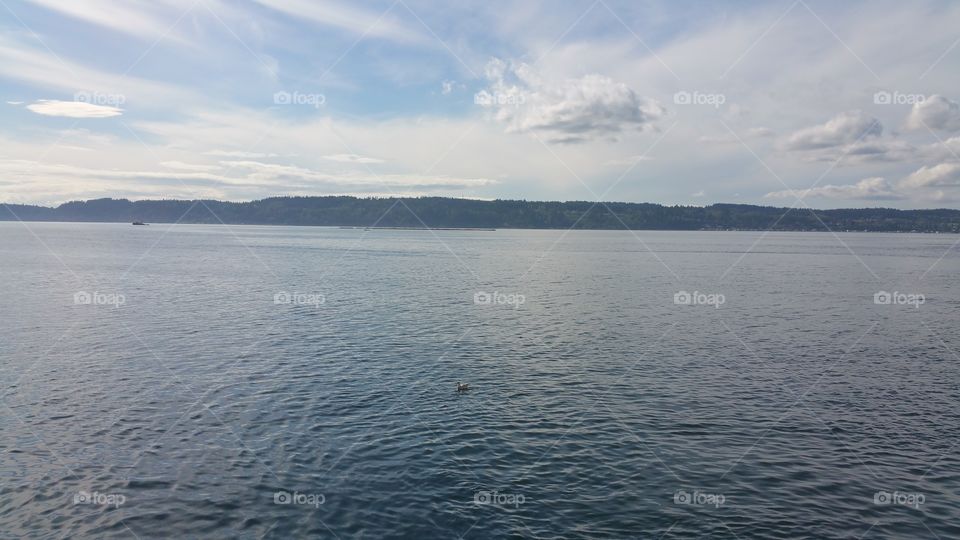 Puget sound ocean lake view