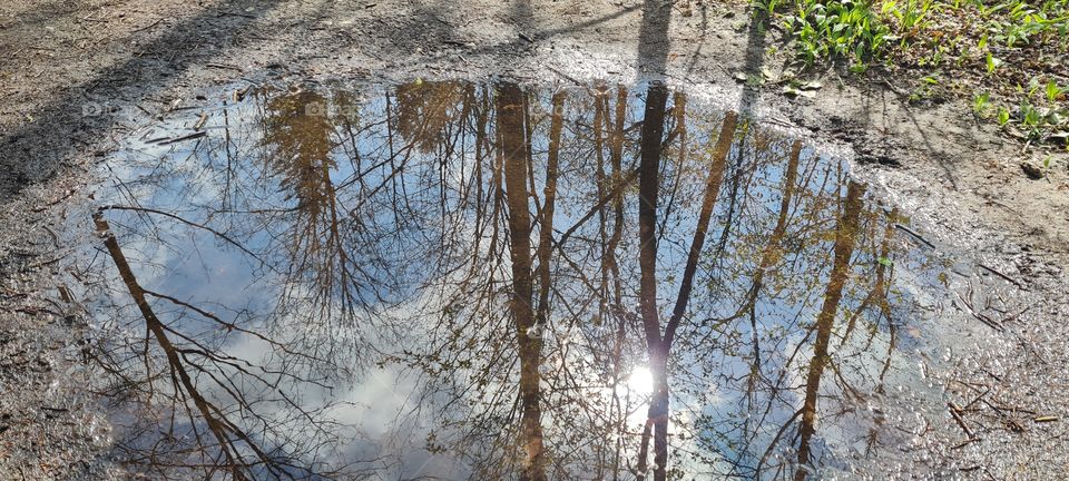 Puddles of water mirroring