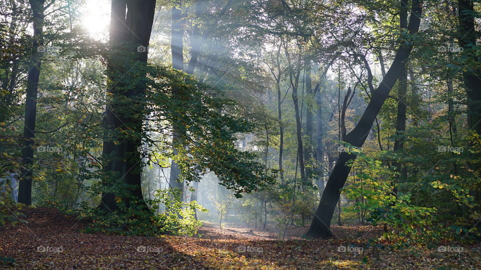 In a park in Antwerp