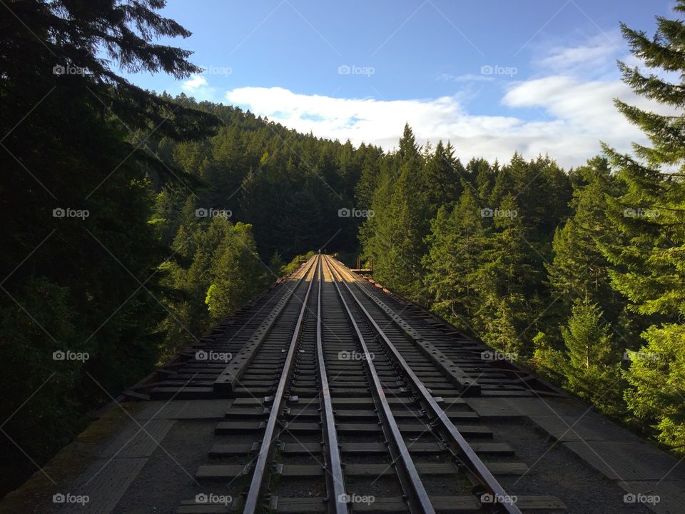 Train tracks on the trestle bridge at Gold Stream Park in Victoria, BC!