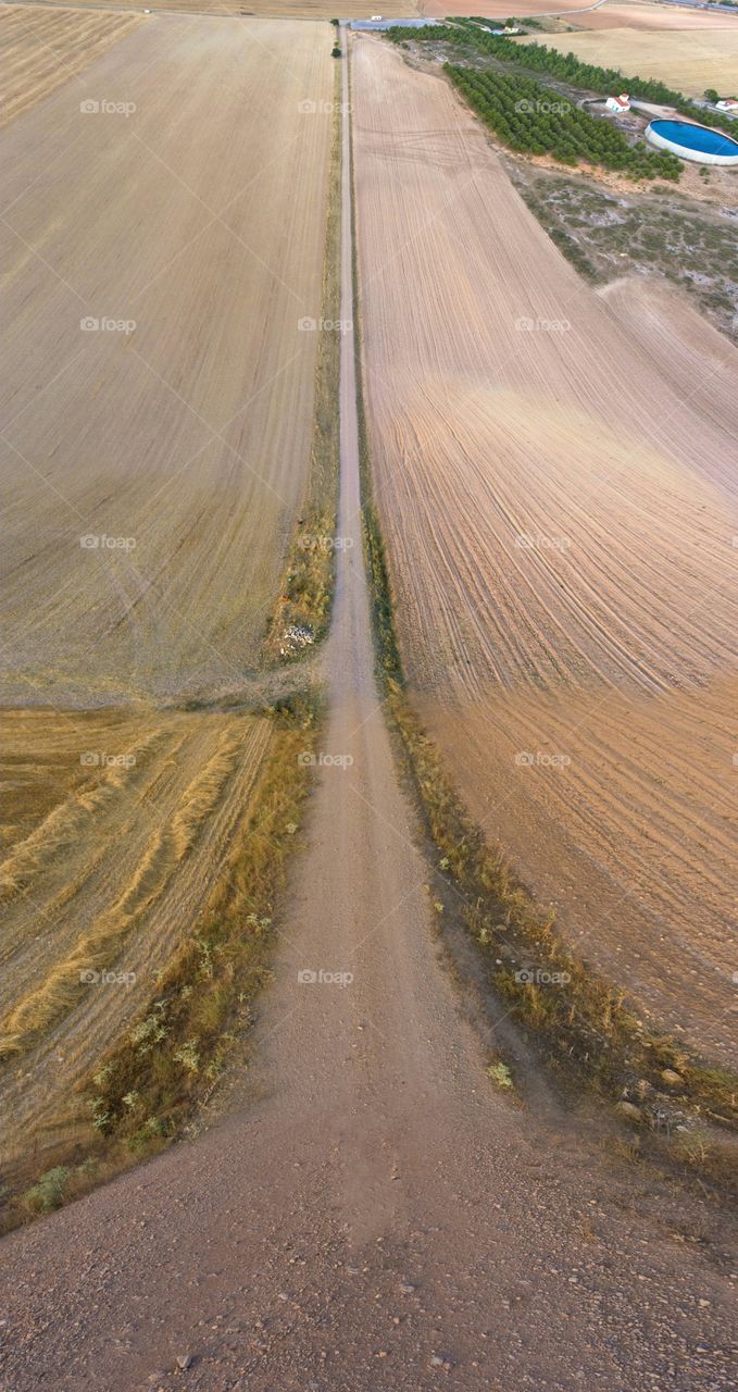 Rural road between mowed wheat fields in Spain