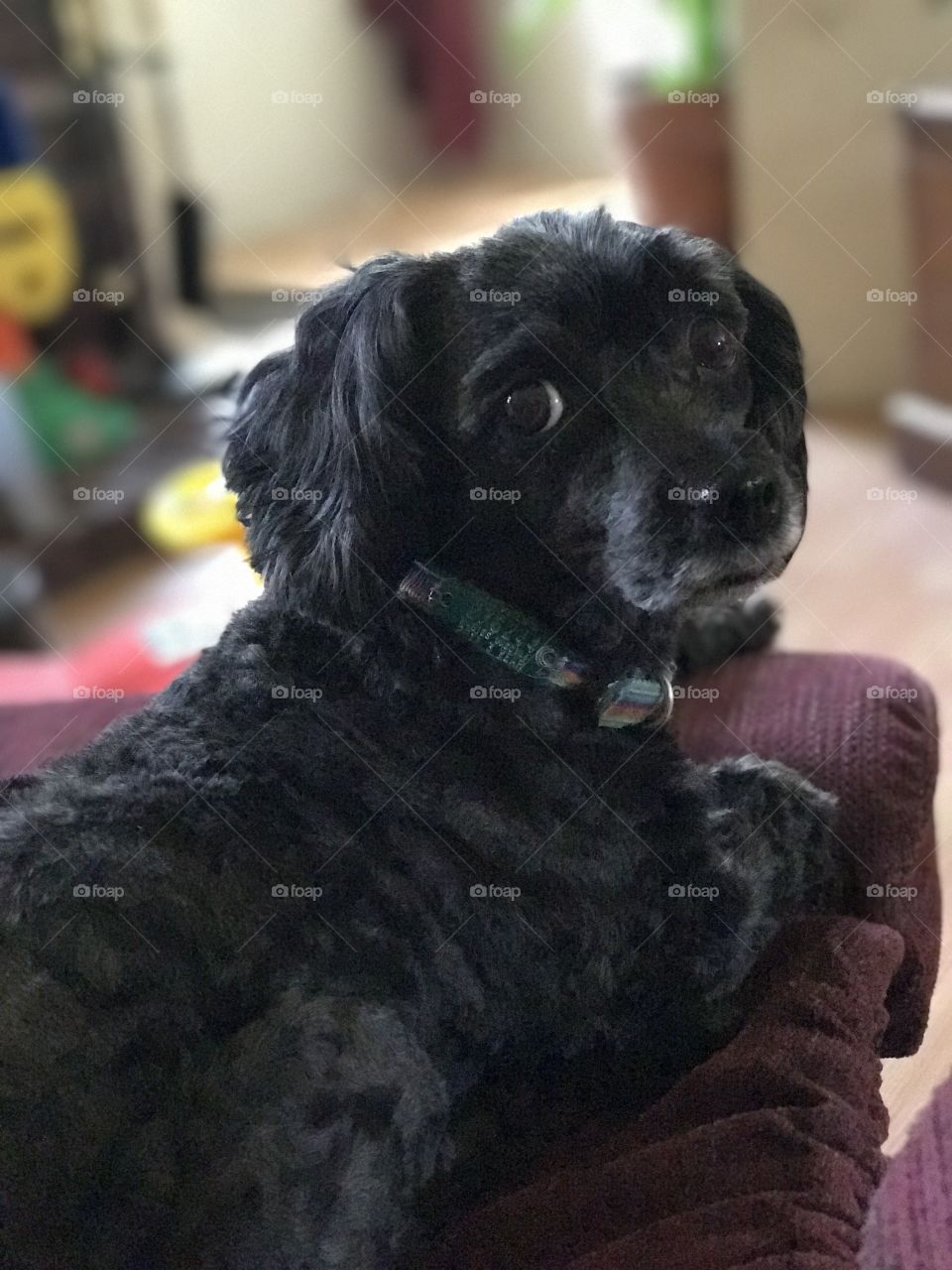 I'm not going outside!