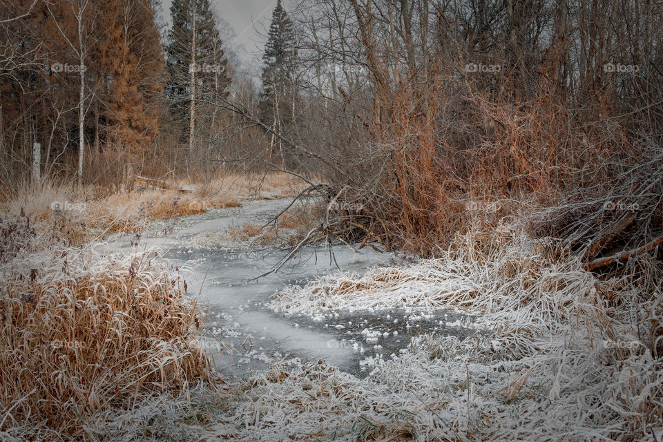 Winter landscape with river 