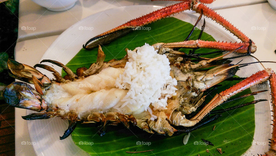 High angle view of lobster in plate