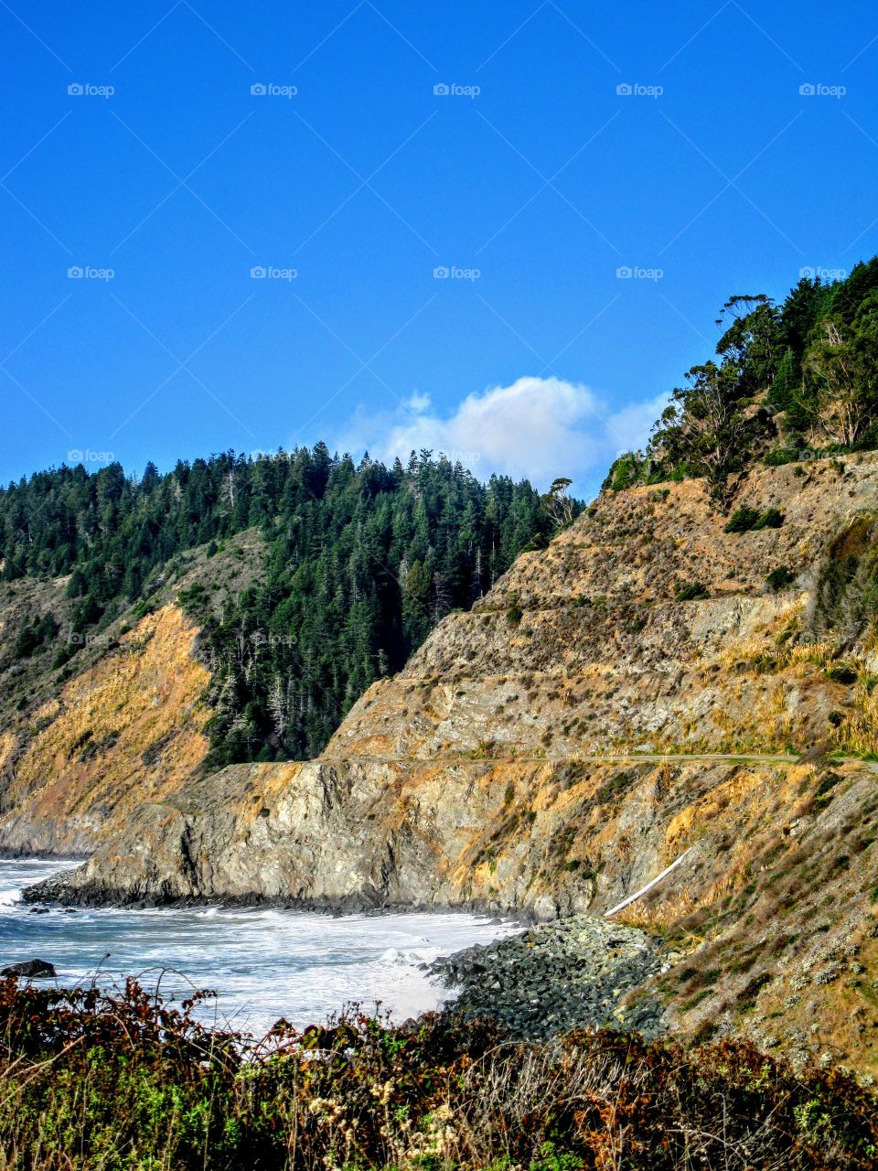 Pretty Lost Coast Ocean Scene "Where to Go"