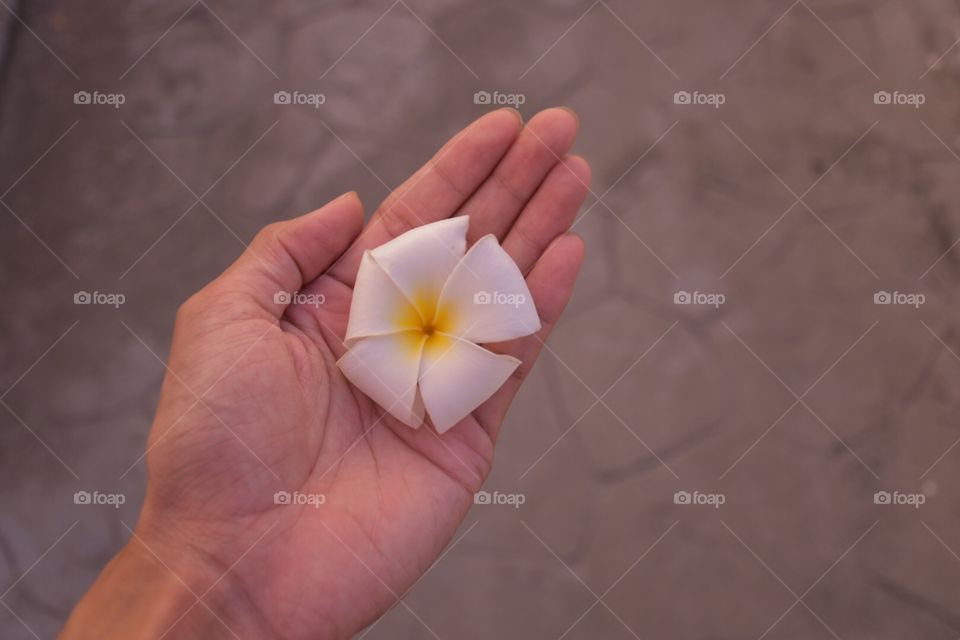 Flower in hand