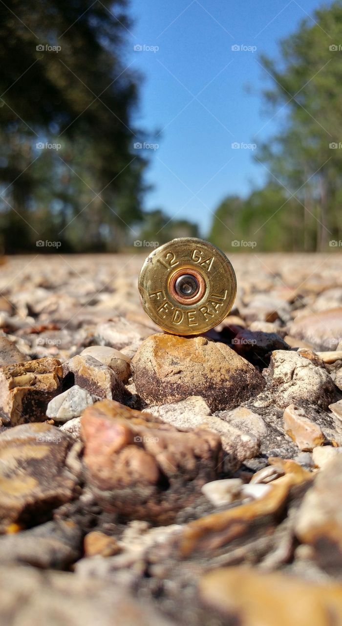 Bullet on stone