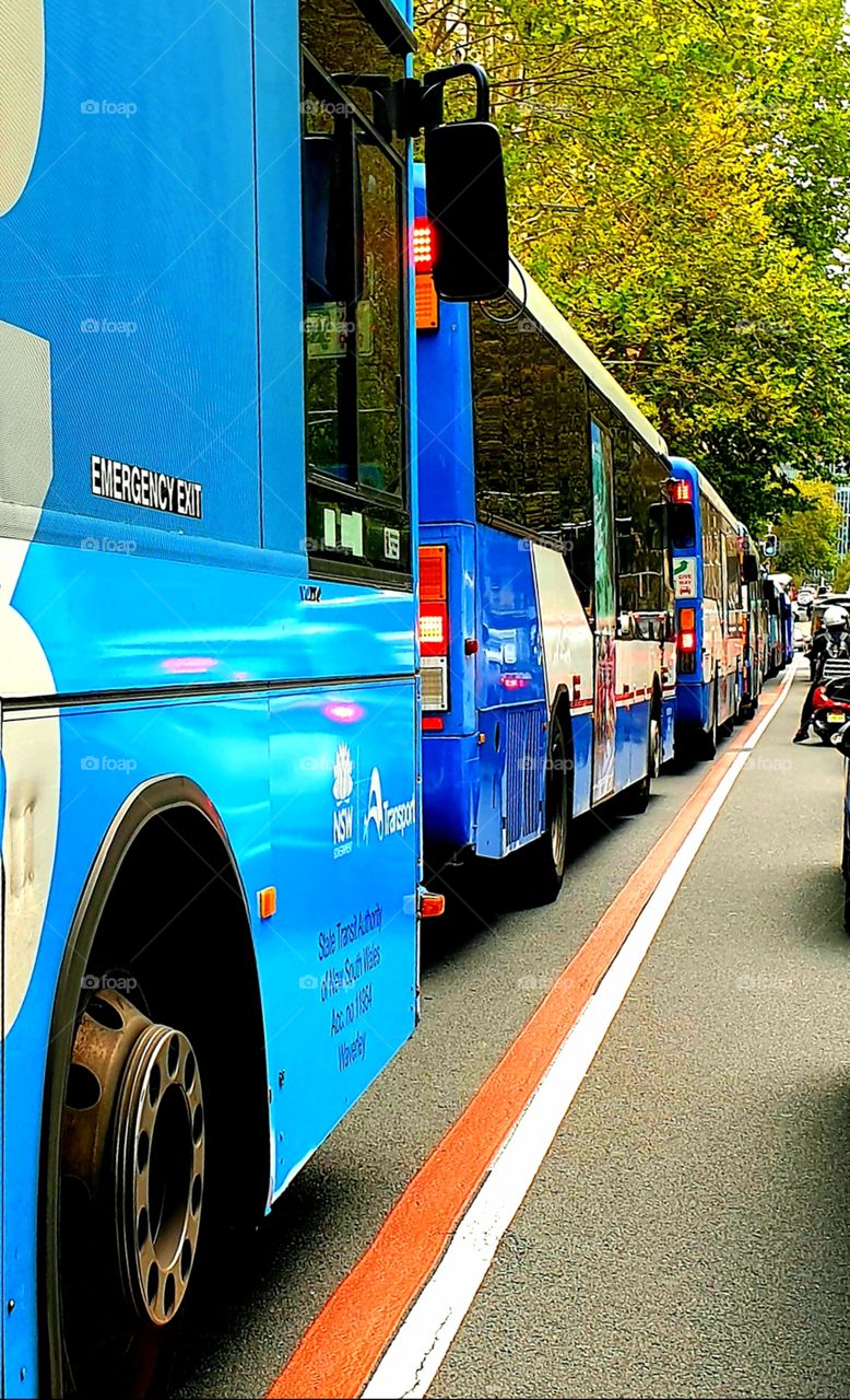 Busses as far as the eye can see