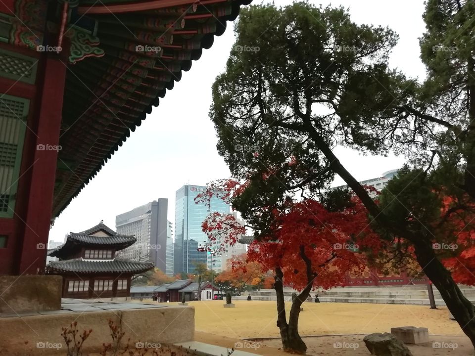 Deoksugung palace, Seoul