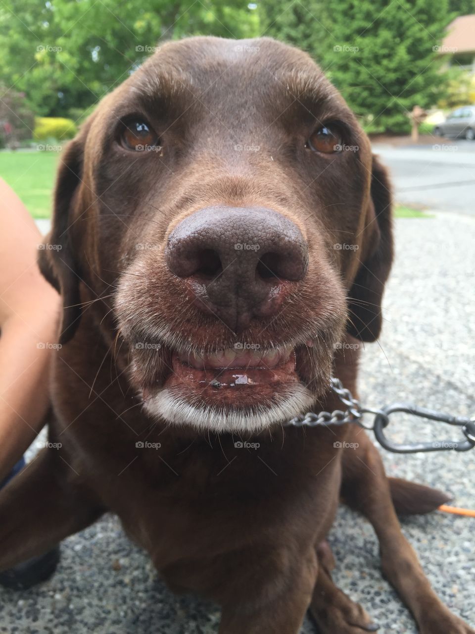 This is how I smile! 