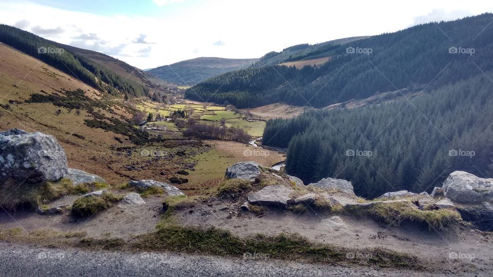 High angle view of nature