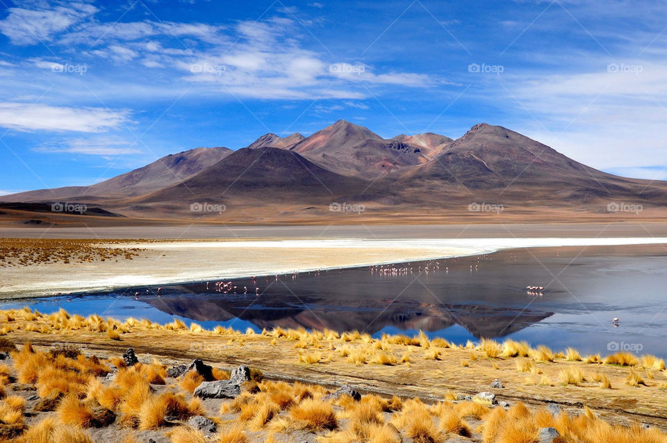 Beautifull lagoon at Bolivia