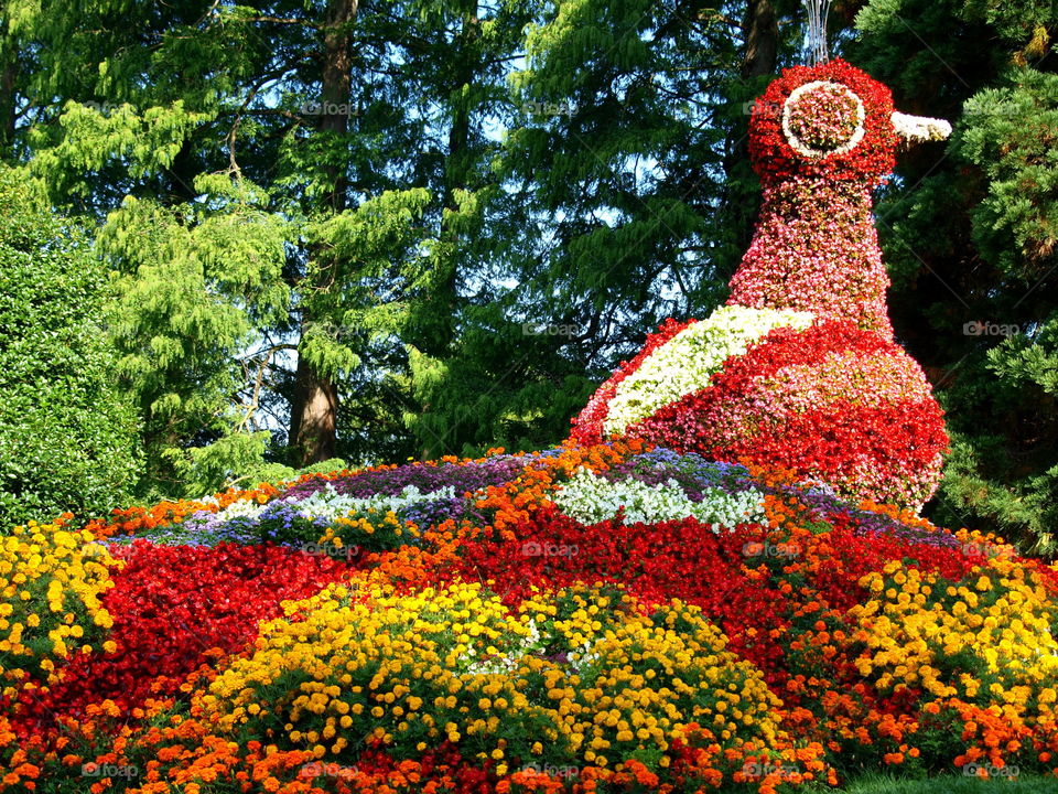 bird made with flower's in a park
