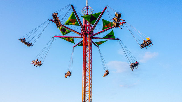 The high swings