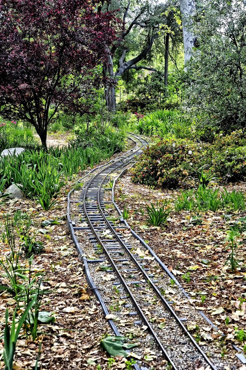 Mini Railway 
