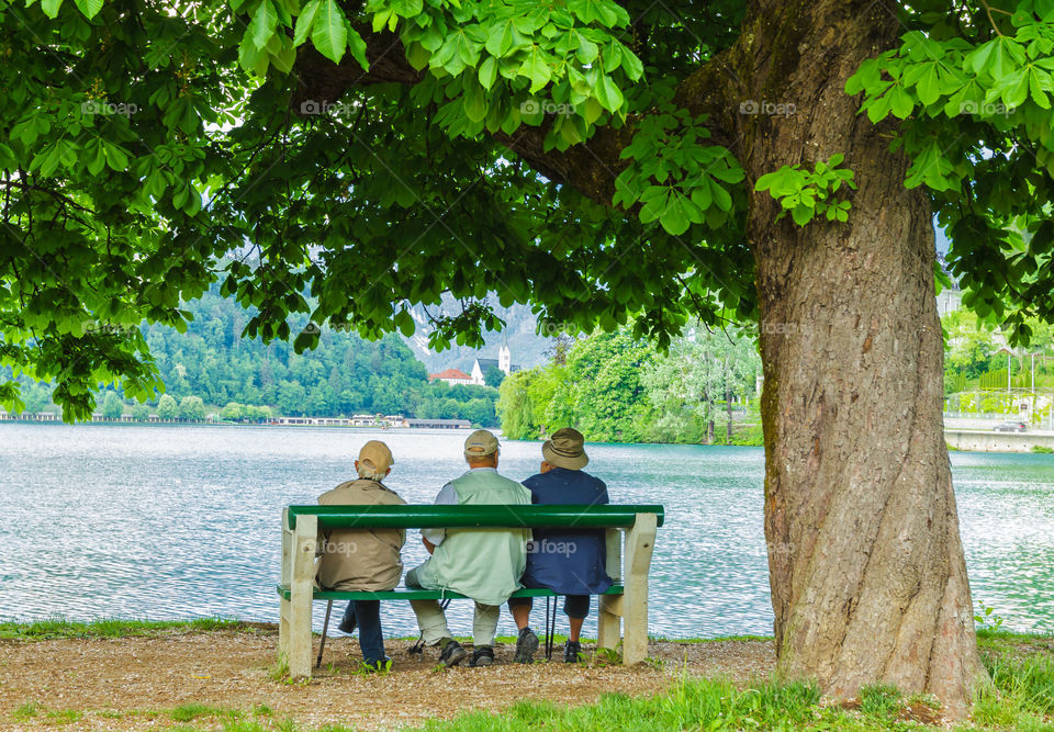 Hanging out with old friends. Elderly men hanging out on bench under tree by lake in springtime, lake Bled, Slovenia.