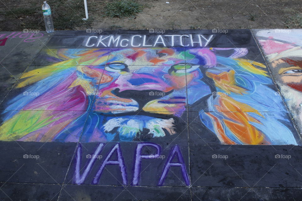 colorful king of the jungle