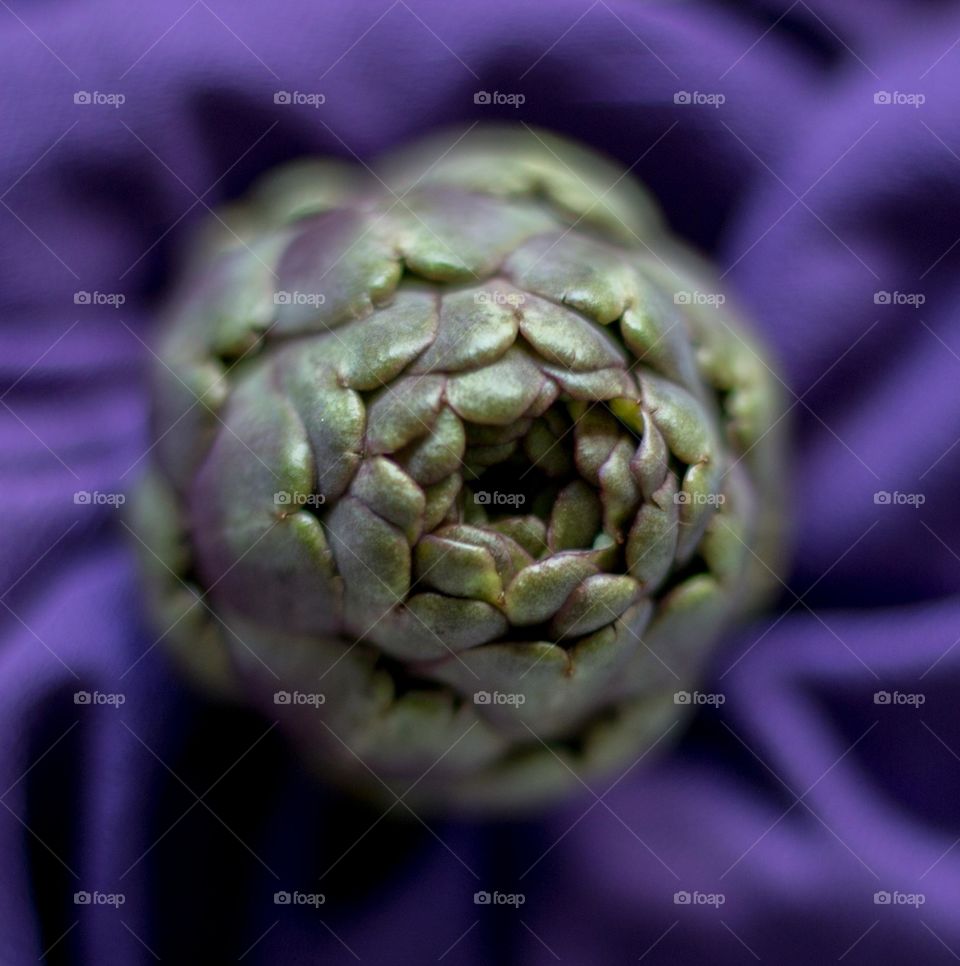 Artichoke still life 