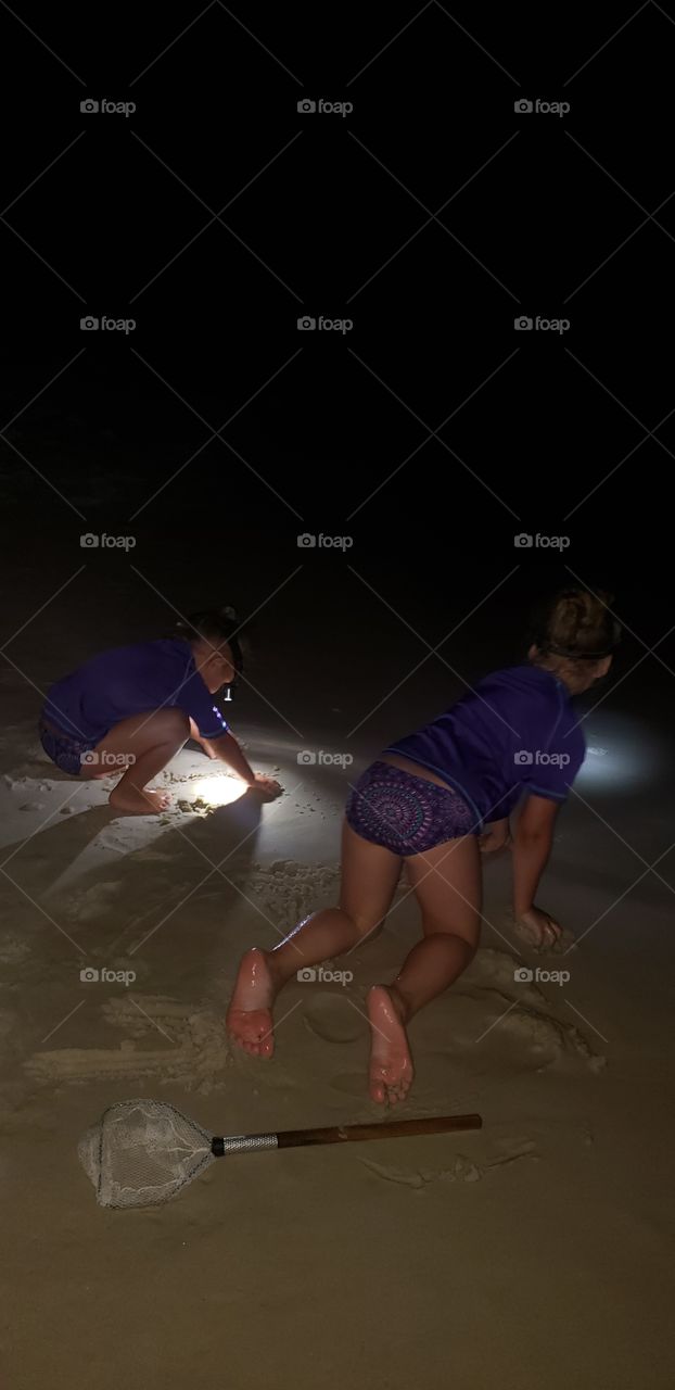 Nightlife of the Gulf Coast