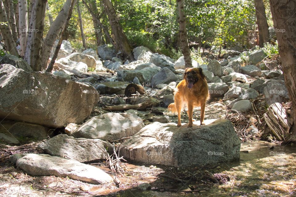 River hike 