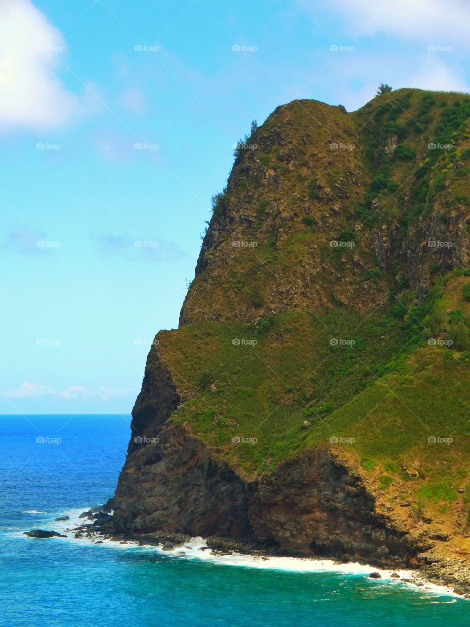 Rugged Hawaii Coast
