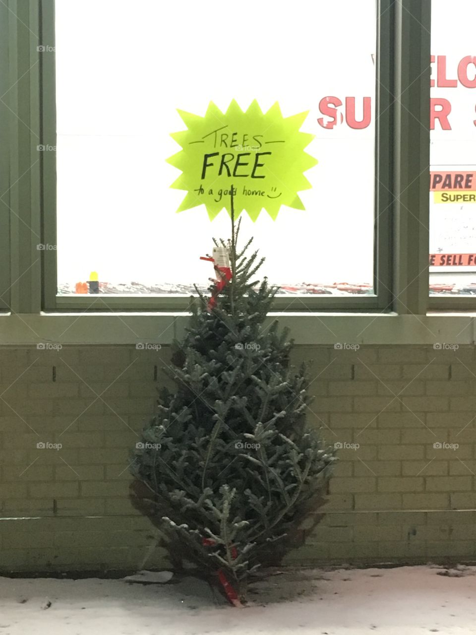 Lonely Christmas tree.