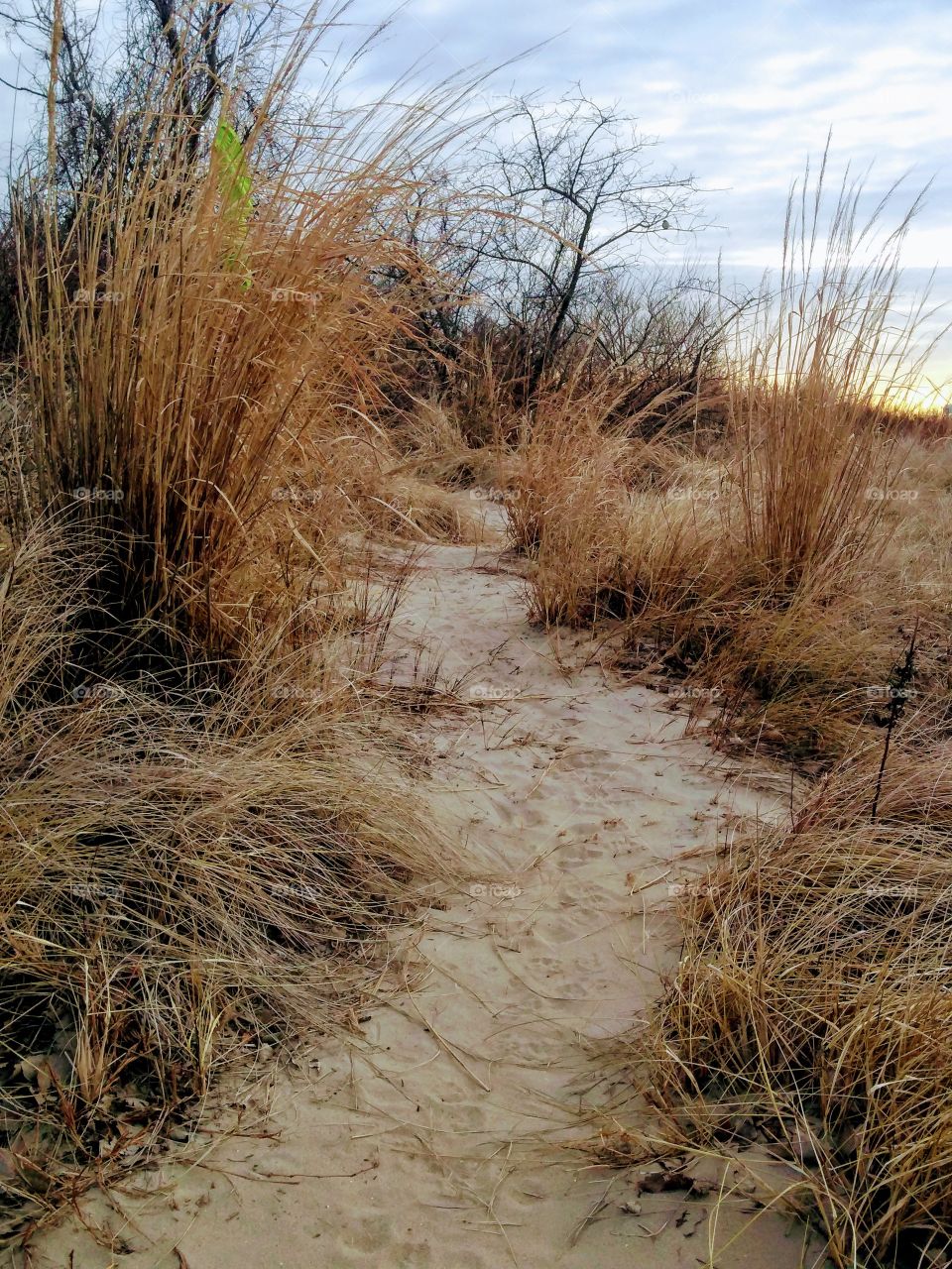 Beach path