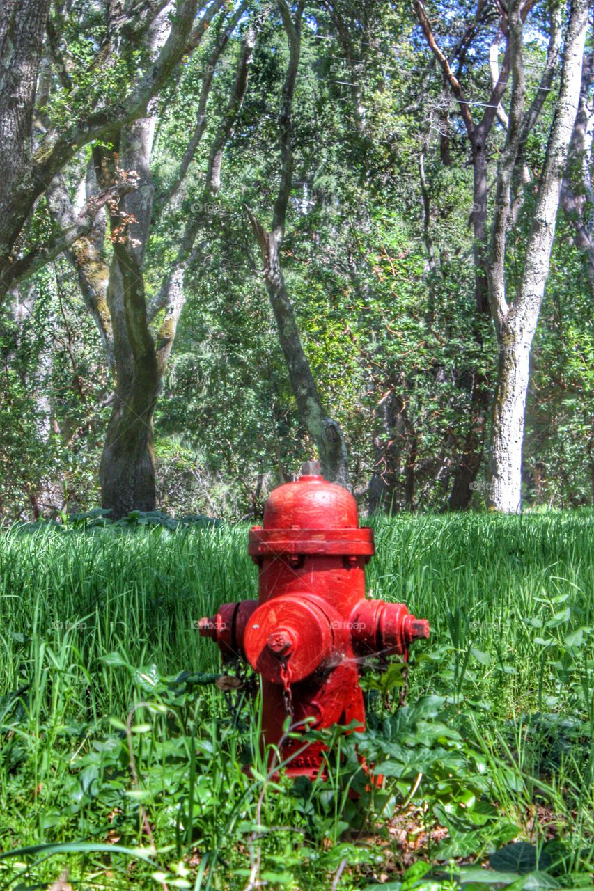 Lost hydrant