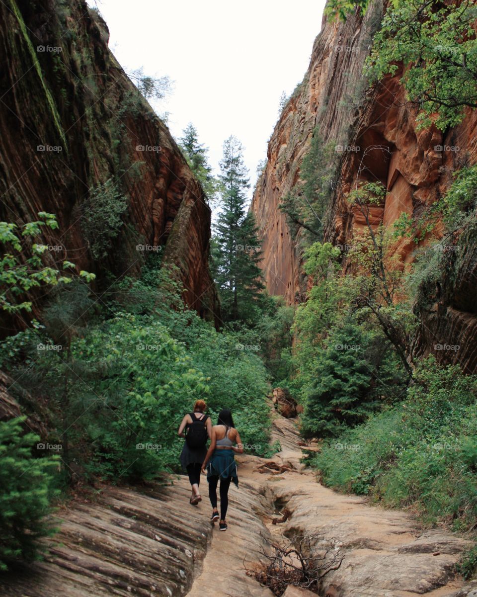 Zion National Park 