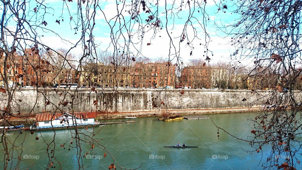 Foliage in Rome