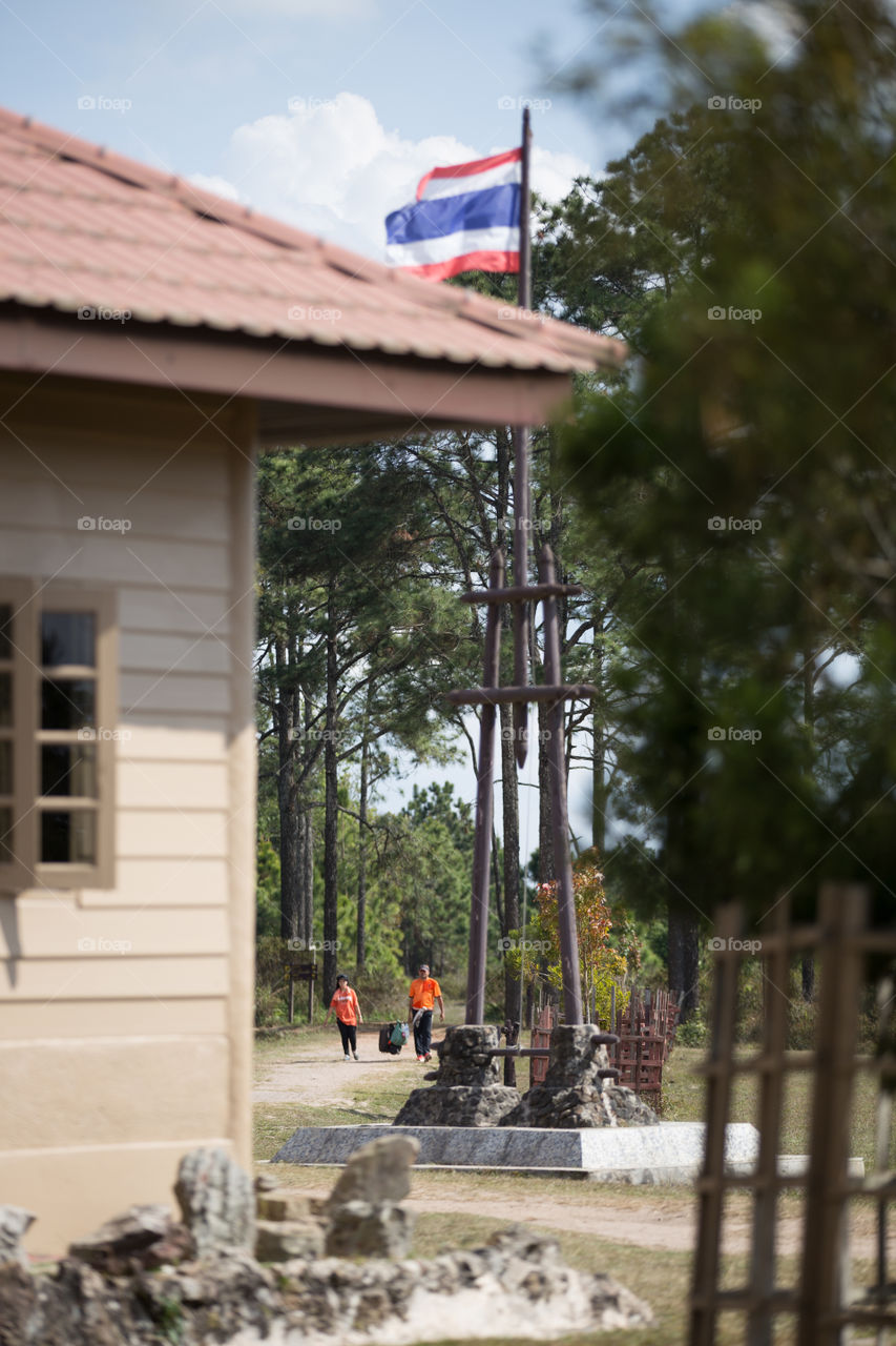 Tourist coming to th e national park