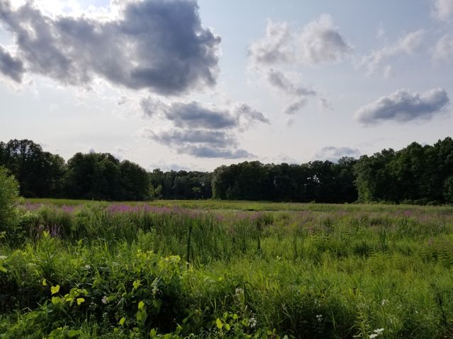 On a Bike Trail