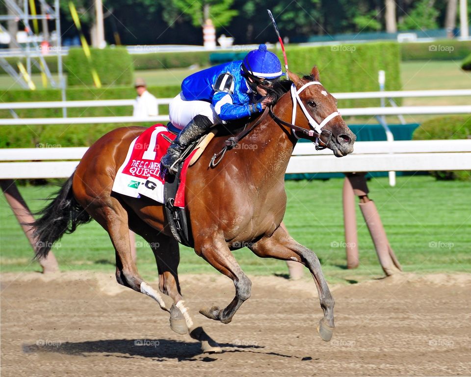 Questing. Questing winning the Coaching Club American Oaks with Irad Ortiz Jr. It was the jockey's first stake win of his career. 