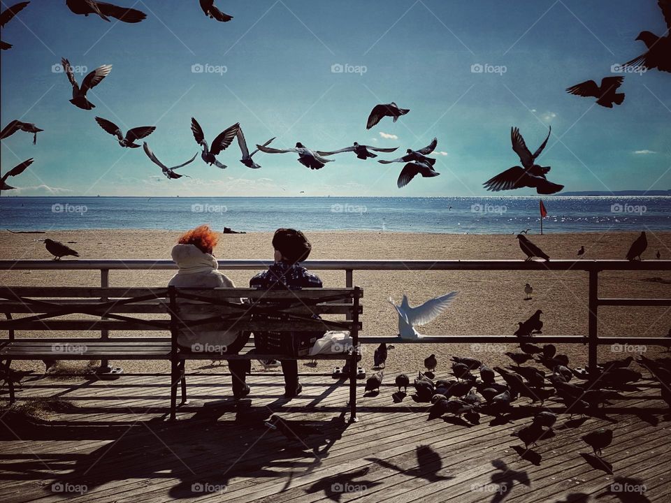 Couple sitting on a bench on the boardwalk at Coney Island surrounded by birds 