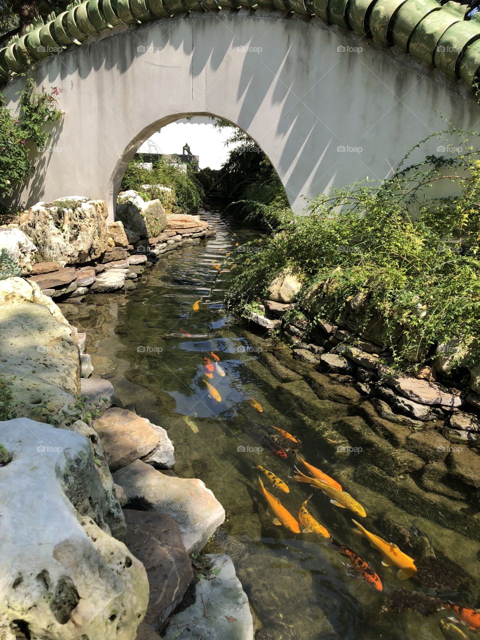 Botanica Gardens,Wichita Kansas 