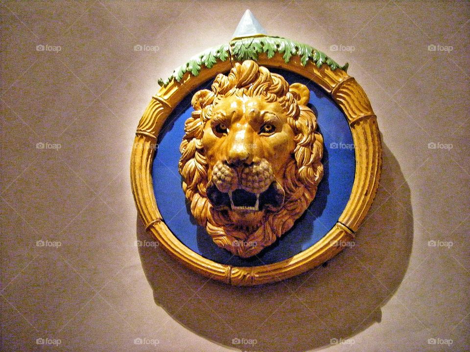 lion on  wall