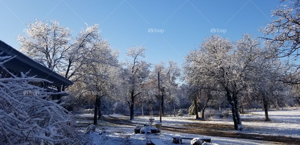 snow and ice in country