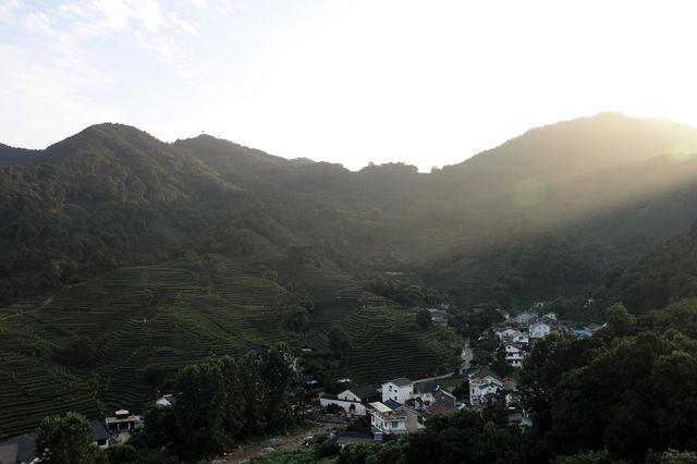 hangzhou sunset. A sunset at hangzhou tea plantage, china.