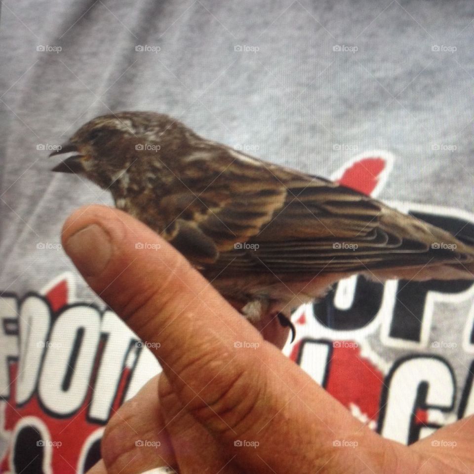 Nursing back to health