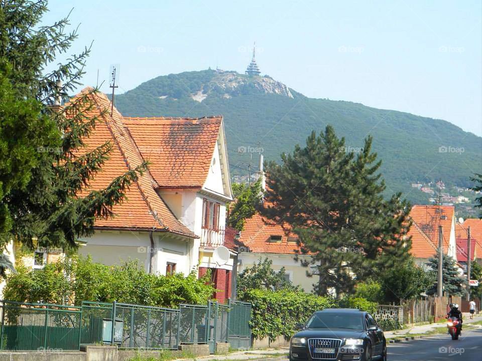 Nitra