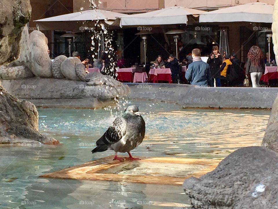 Bath time Rome Italy 