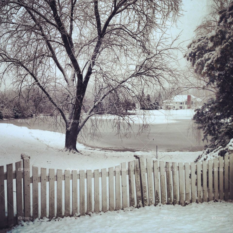 Winter wonderland . house in snow