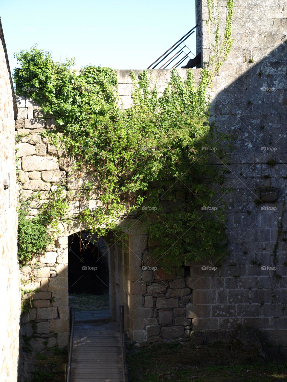 Monasterio abandonado de San Paio