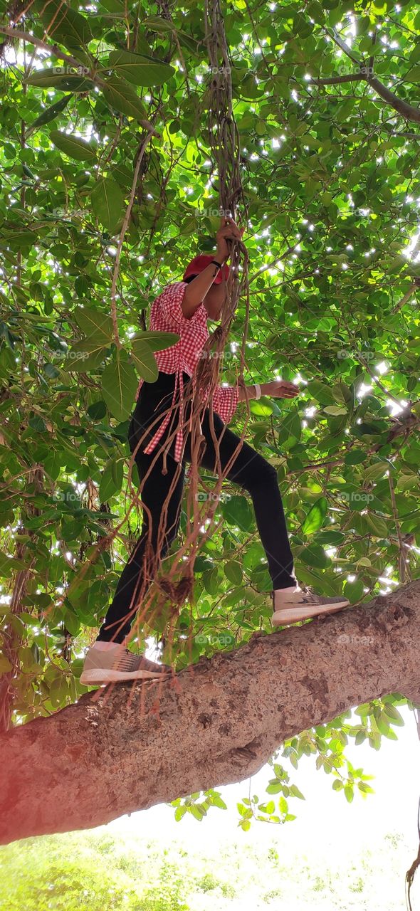 Child or Adult or old climbing trees and eating fruits hanging there on branches always delight the heart, hoping from one branch to another without visa or passport.