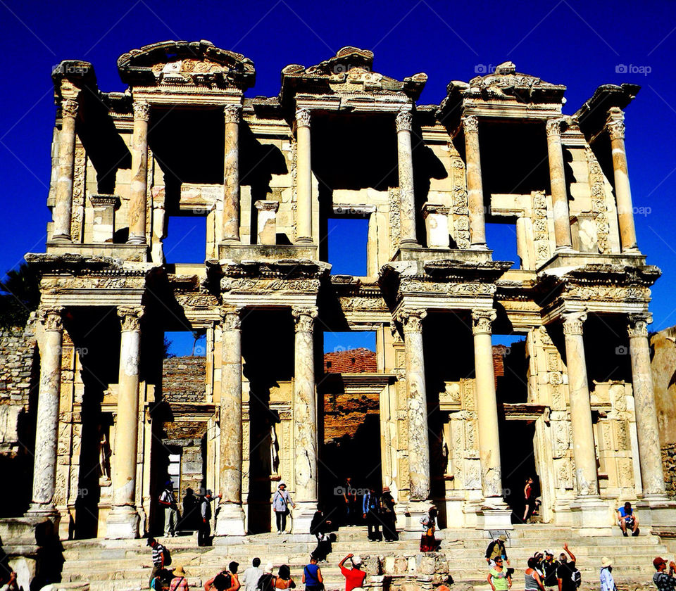 CELSUS LIBRARY