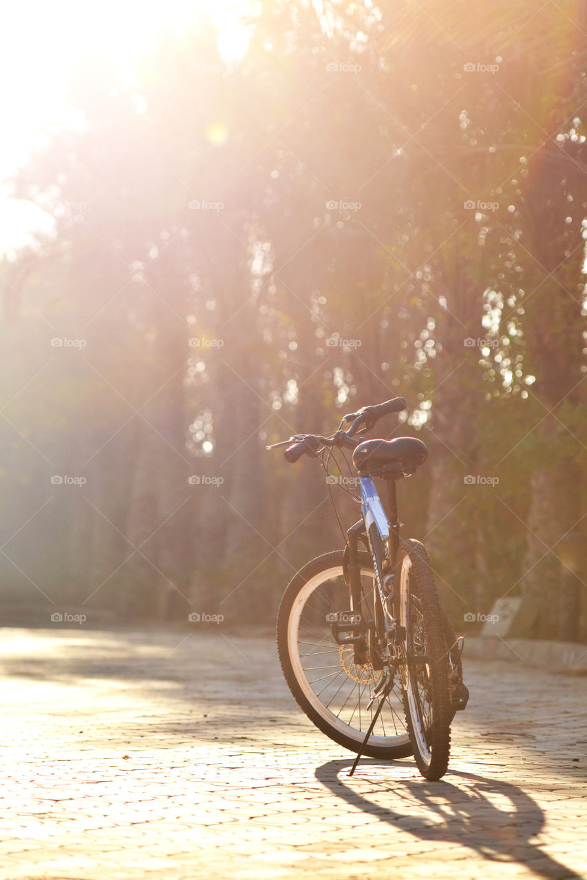 Wheel, Bike, Cyclist, Motion, Road