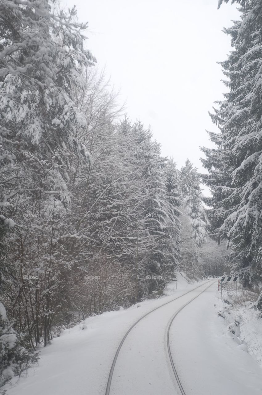 Winter in Czech Republic. Taken on the train between Ceske Budejovice and Cesky Krumlov