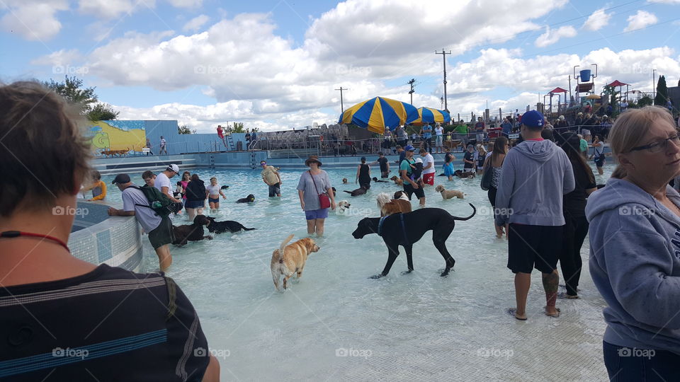 People, Group, Man, Adult, Woman